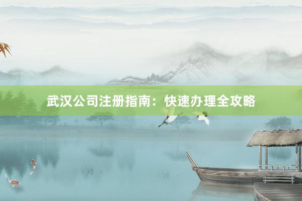 武汉公司注册指南:快速办理全攻略